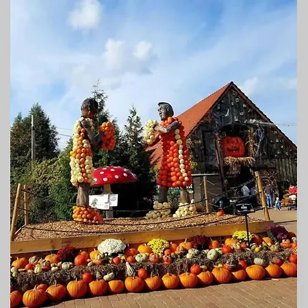 ... Ostsee Direkt Vor Der Tuer Rerik