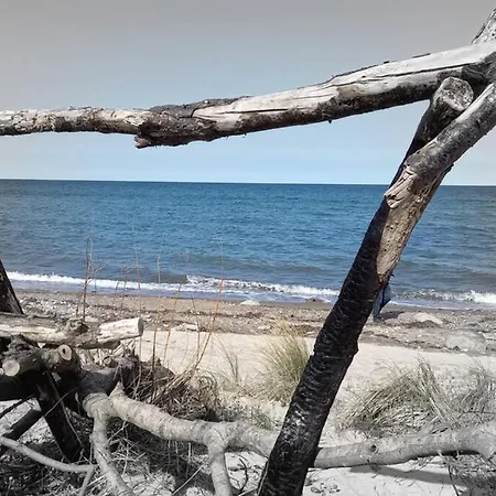 Appartement ... Ostsee Direkt Vor Der Tuer *