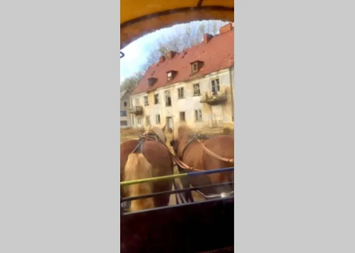 דירה ... Ostsee Direkt Vor Der Tuer