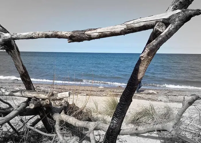 Apartamento ... Ostsee Direkt Vor Der Tuer *